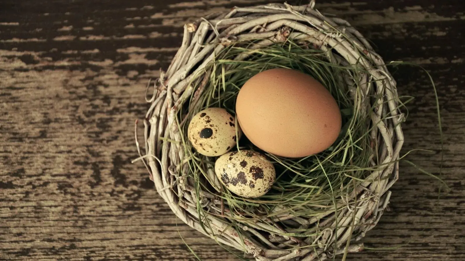 Brown and white eggs resting on a weathered wooden surface