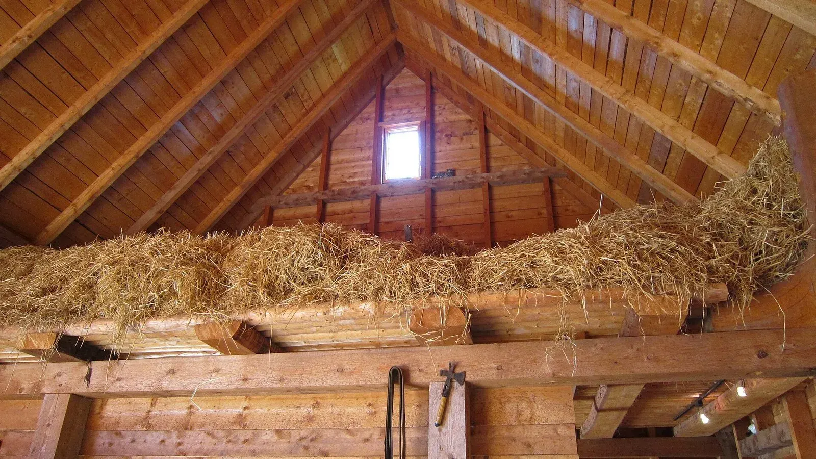 Loose straw bedding spread across the floor of a timber barn loft