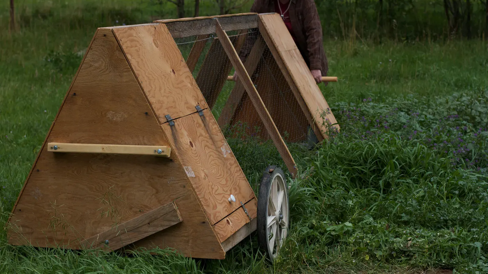 A wooden A-frame chicken tractor with a wheel fitted at one end being moved across grass