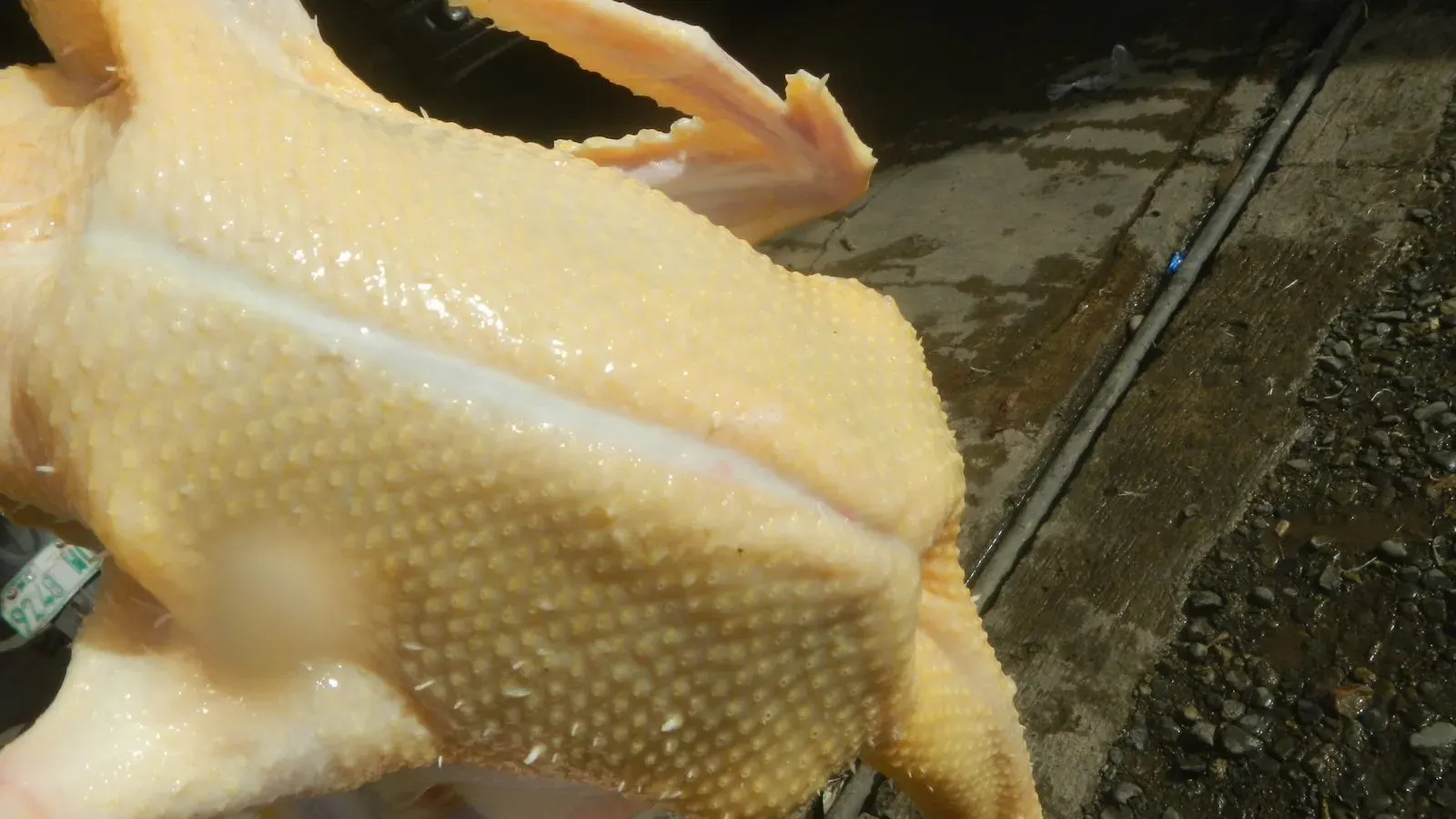 A dressed chicken carcass on a board ready for jointing in a home kitchen