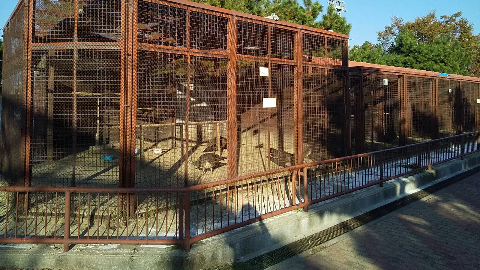 A row of secure wire mesh poultry enclosures with steel framing and covered roofs
