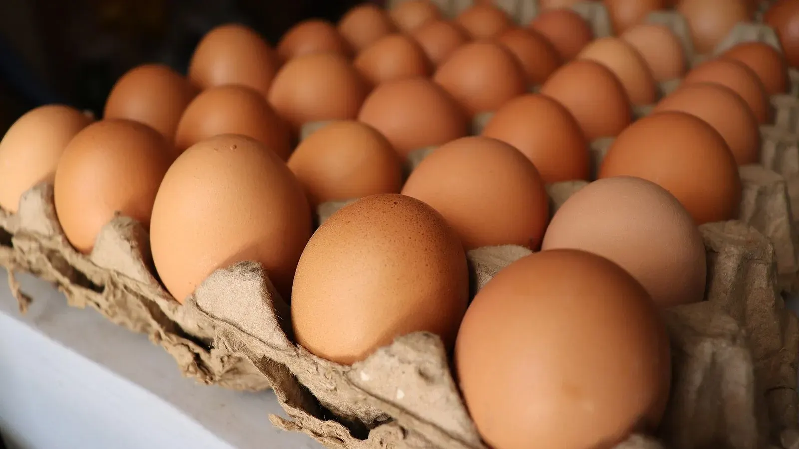 A tray of freshly collected brown chicken eggs